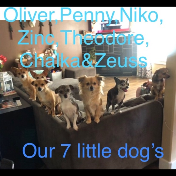 Meet your Posher, Mindy - Picture 13 of 16